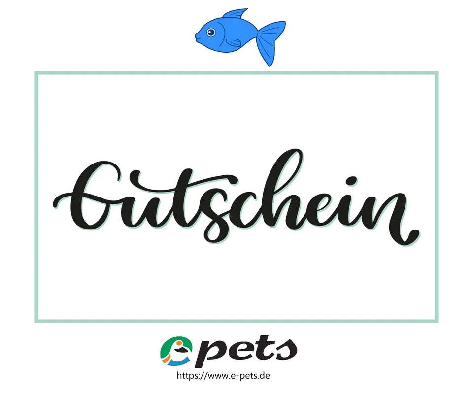 Kracherpreis Geschenkgutschein EUR 350,-