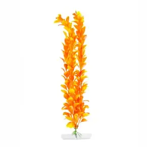 JK Orange Ludwigia größ 38 - 43 cm Bestpreis