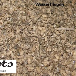 Abverkauf SD Wasserfliegen, Waterflies 5 L (cca 1250g)