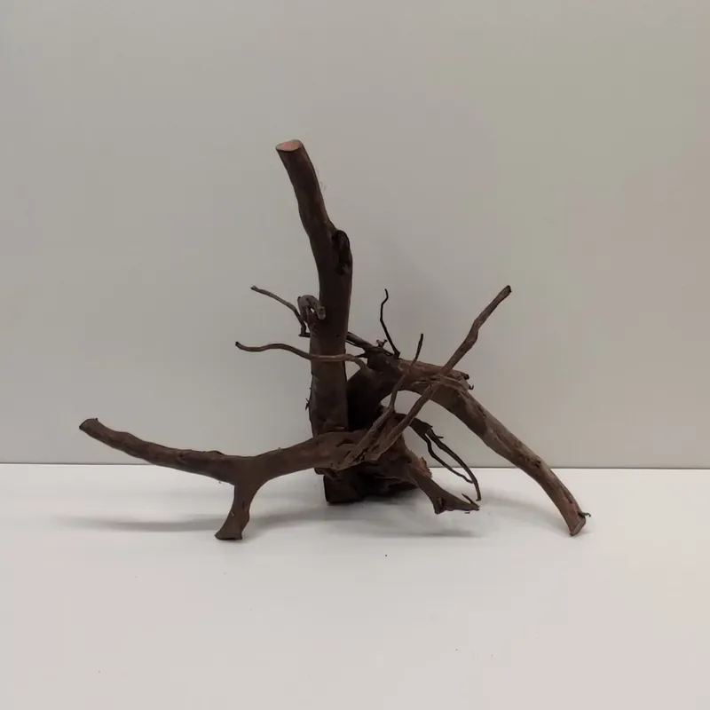 Mega-Angebot Fingerwurzel dunkle Moorwurzel 43x21x33cm