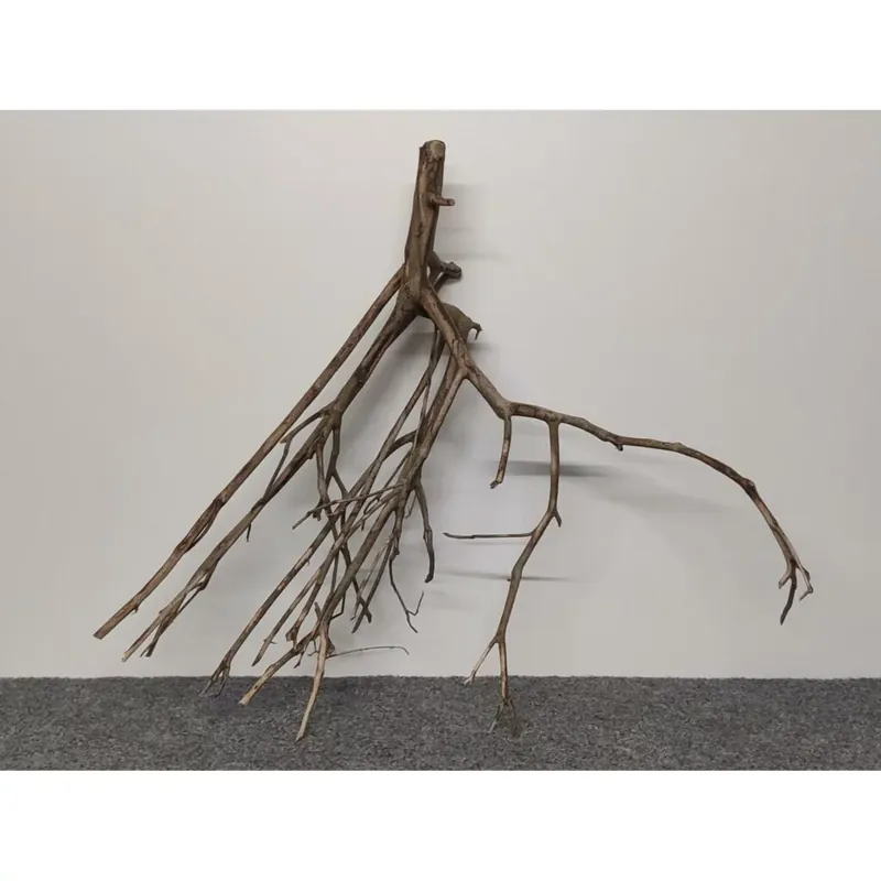 Talawa-Wurzel 92x34x78cm Kracherpreis