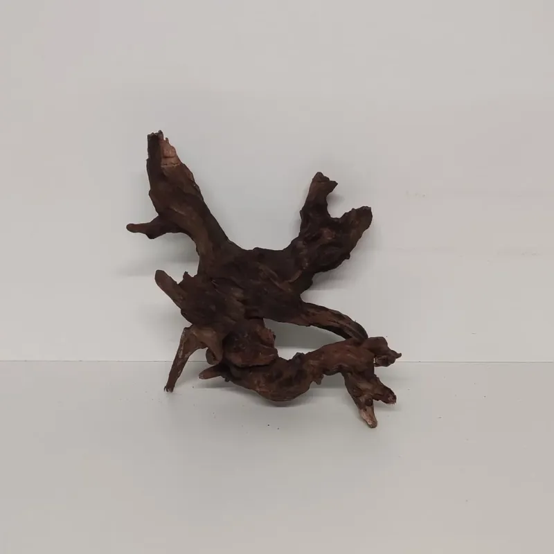 Letzte Chance Flusswurzel – Drift Wood Wurzel	24x15x27cm