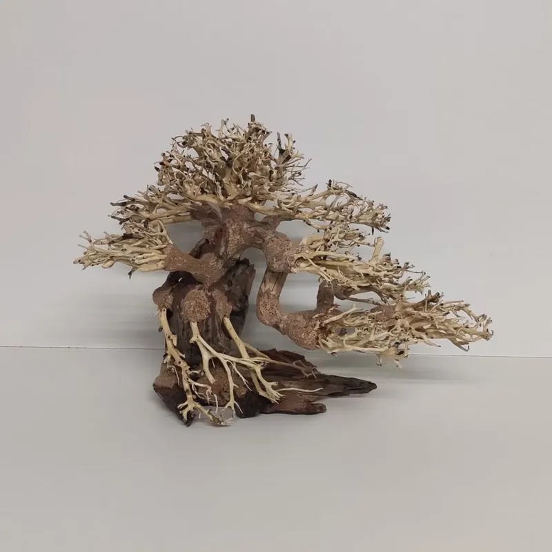 Schnäppchen Aqua-Bonsai – L –	39 x 22 x 30 cm
