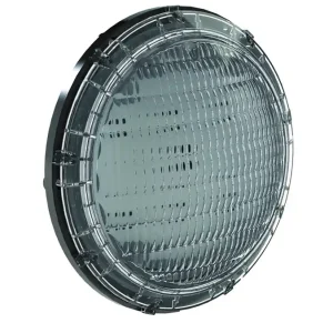 Aktuell Pentair Intellibrite PAR 56 LED Ersatzleuchtmittel IntelliBrite PAR56 RGB 40 Watt 12 Volt 1100 Lumen