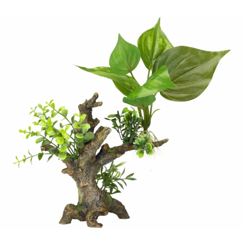 Online Kaufen Aqua Della Florascape 6