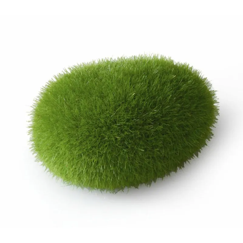 Aqua Della Moos Ball S Markenprodukt