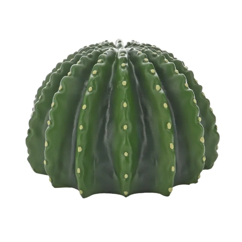 Hobby Cactus Home 3 (17,5 x 17 x 10,8 cm) Zertifiziert