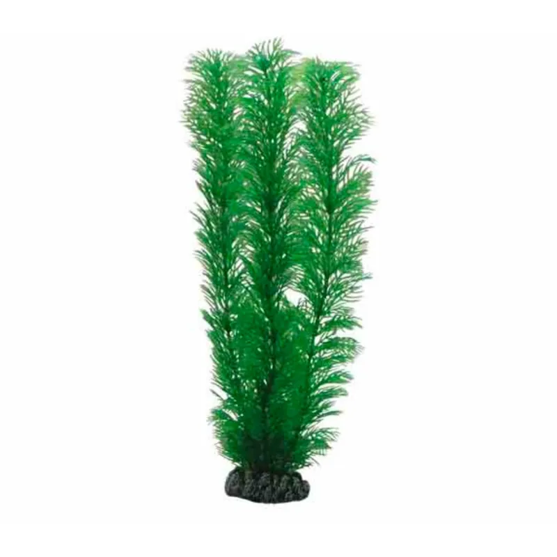 Schneller Versand Hobby Egeria - 20 cm