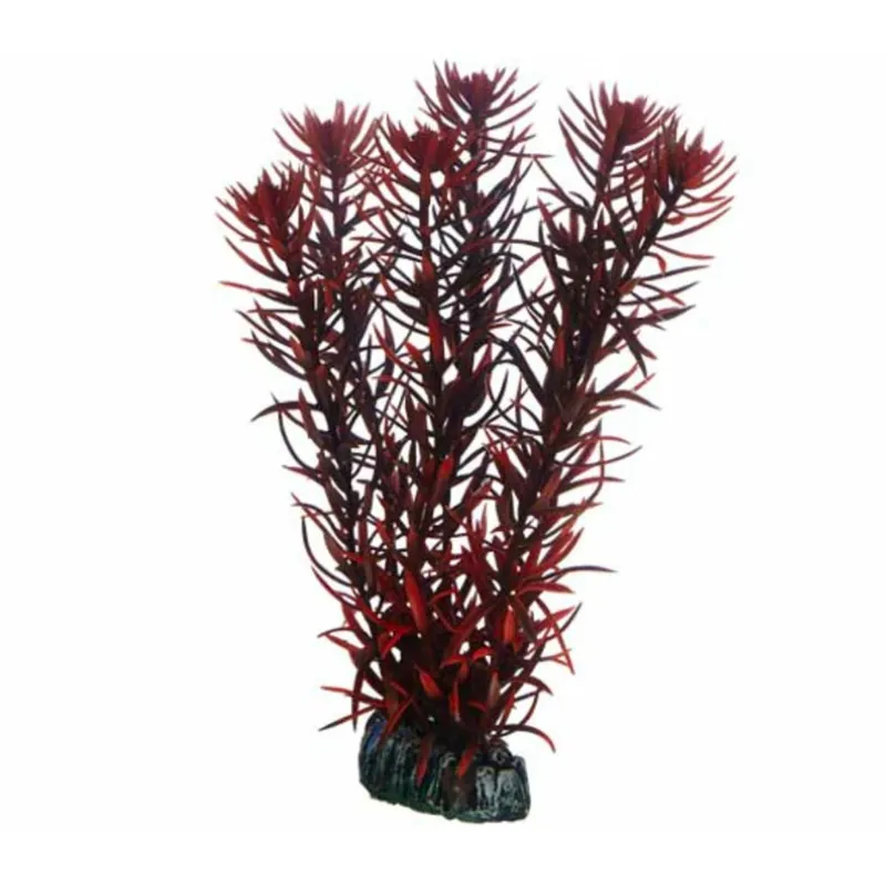 Hobby Eusteralis - 39 cm Kracherpreis