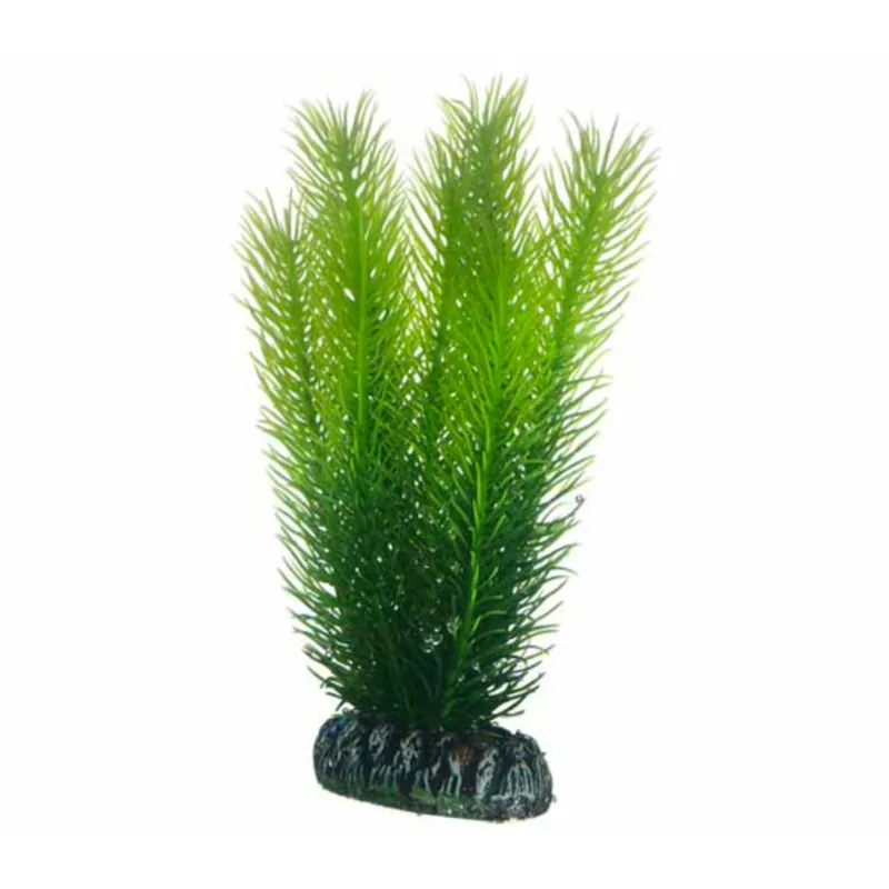 Aktuell Hobby Mayaca - 25 cm