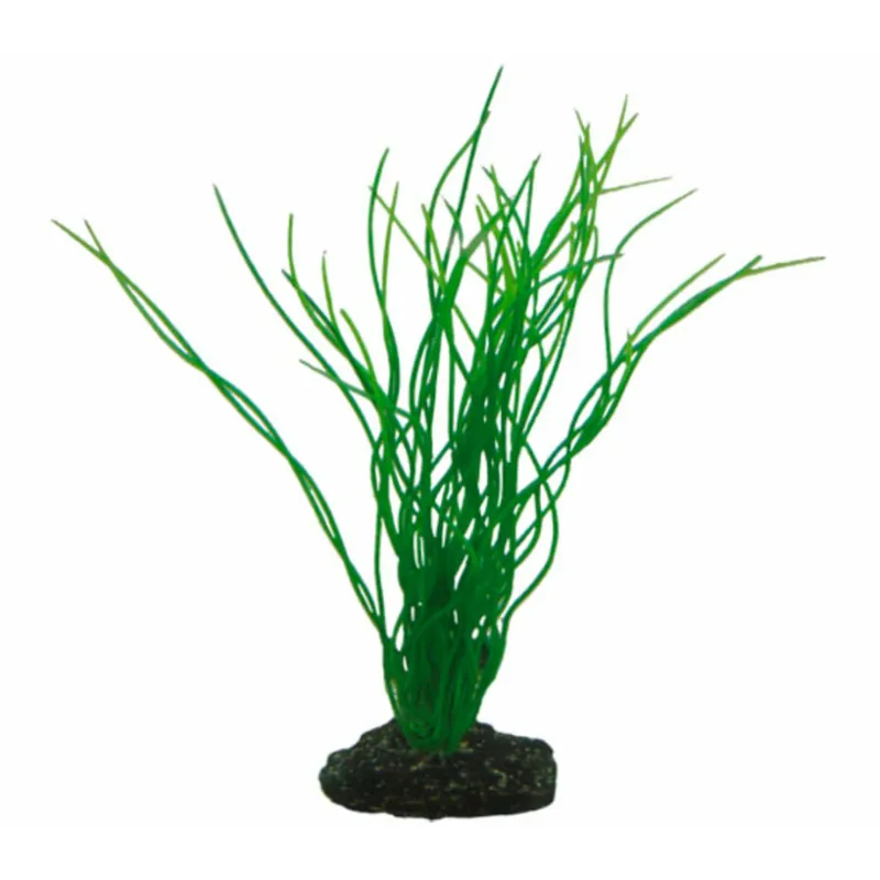 Hobby Sagittaria 20 cm Markenprodukt
