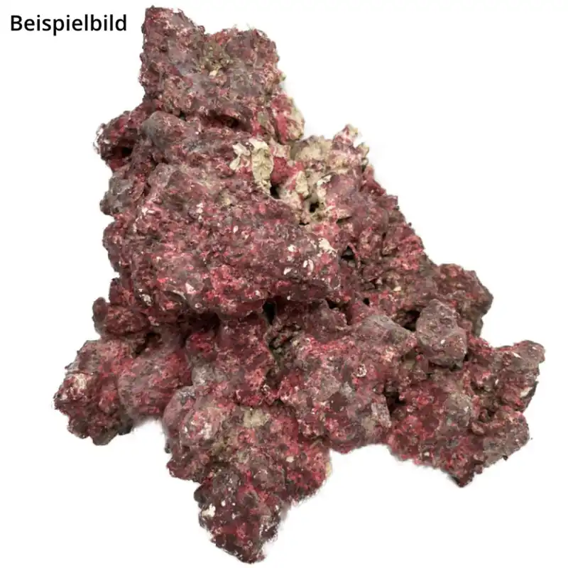D-D Aquarium Solution RealReef Rock 1 kg Günstig