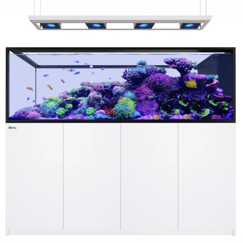 Solange Der Vorrat Reicht Red Sea REEFER MAX Peninsula S-950 G3 - weiß