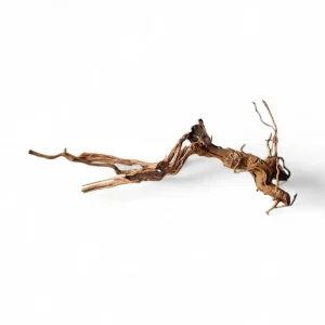 Neue Ware Dragon Wood / Curl Wood Wurzel325
