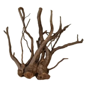 Dunkle Moorwurzel 40-55 cm Nr. 498 Angebot