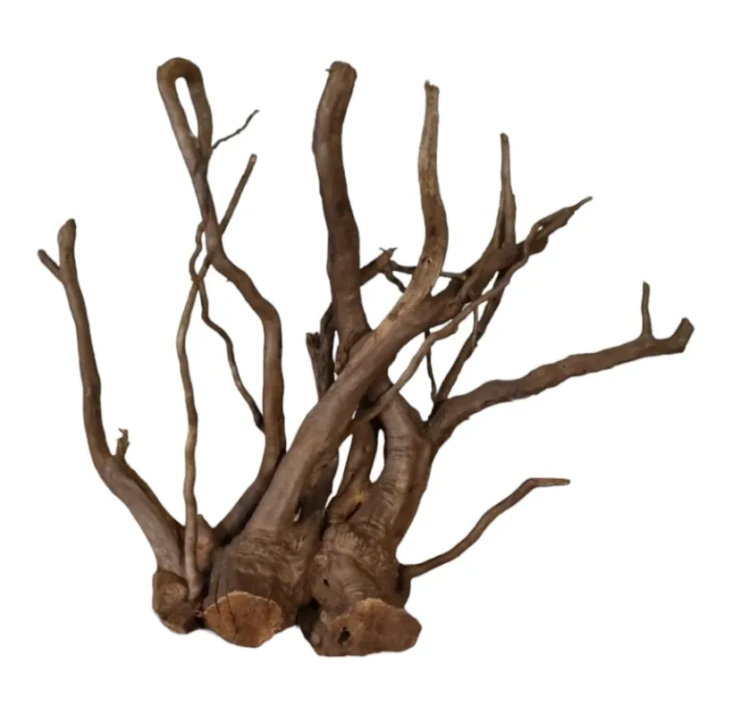 Dunkle Moorwurzel 40-55 cm Nr. 498 Angebot