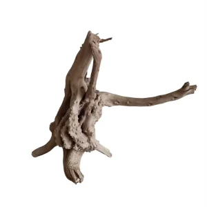 WIO Tree Trunk Wood Wurzel 309 Saisonangebot