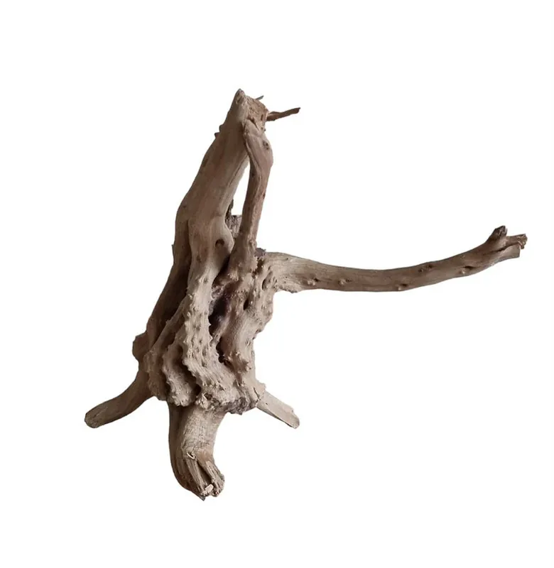 WIO Tree Trunk Wood Wurzel 309 Saisonangebot