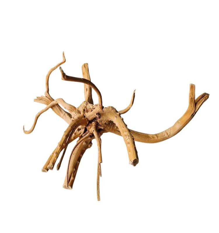 WIO Tree Trunk Wood Wurzel 292 Begrenztes Angebot