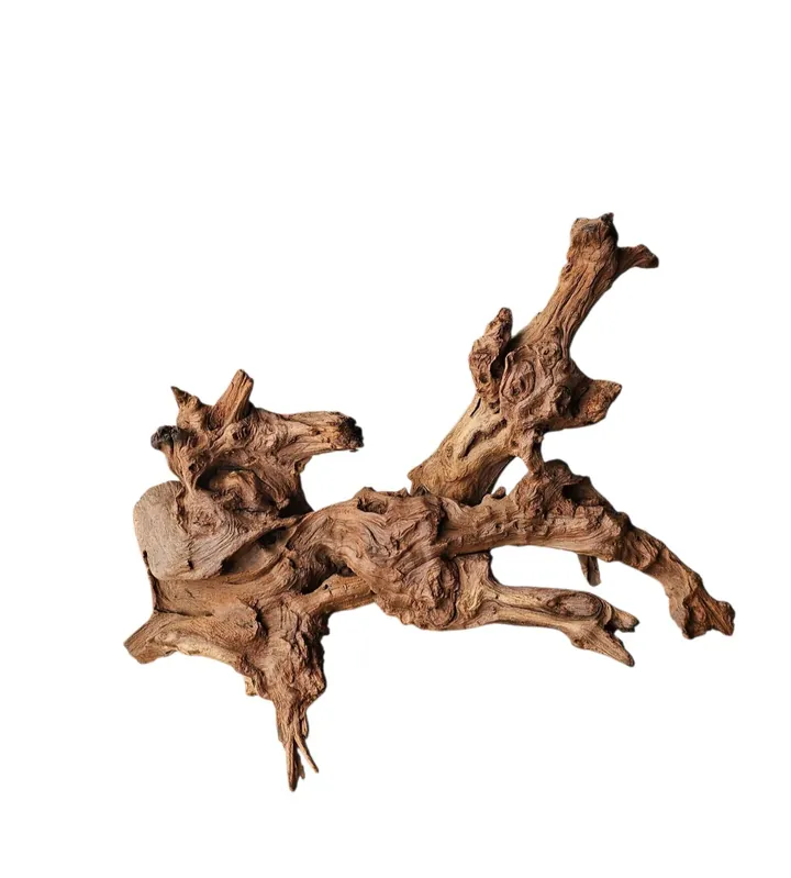 Driftwood / Flusswurzel Nr. 270 Highlight