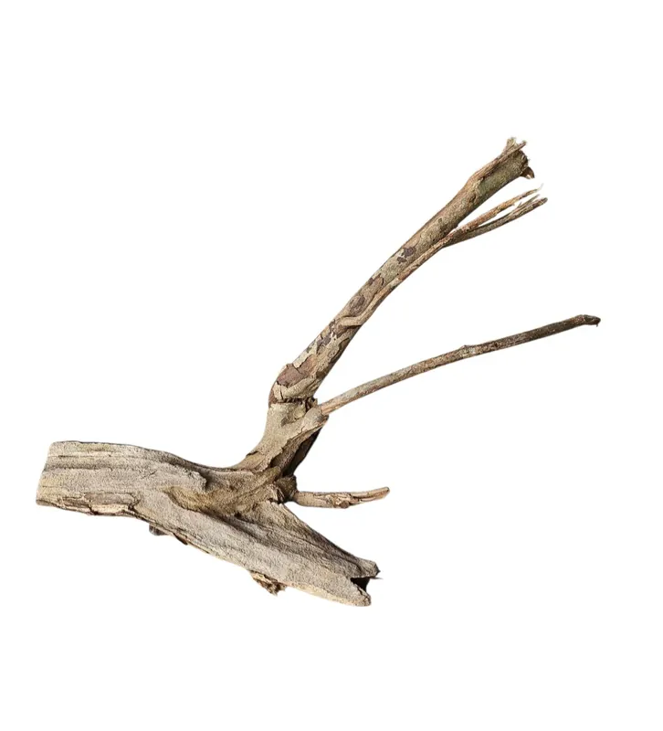 Talawa Holz/Wood 30-45cm Nr. 240 Preisreduziert
