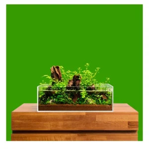 Expressversand UNS Randlose Aquarien - Flach 25 S