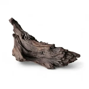 Preiswert Mopani Wurzel Nr.37