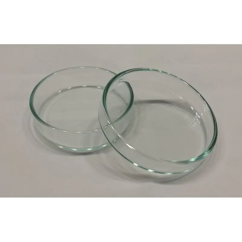 Bestseller Futterschalen aus Glas Größere Schale