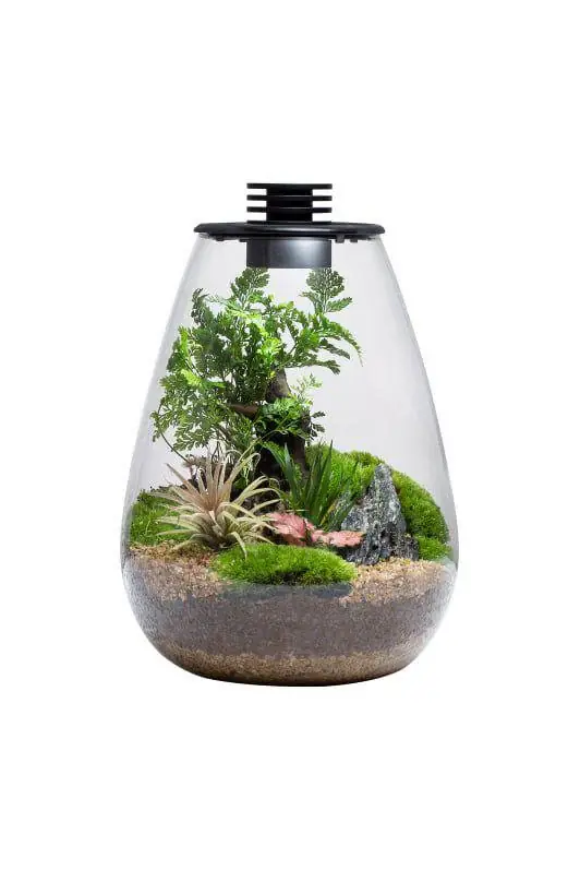 Bioloark - Biobottle SD175 oder 200 SD200 Super-Preis