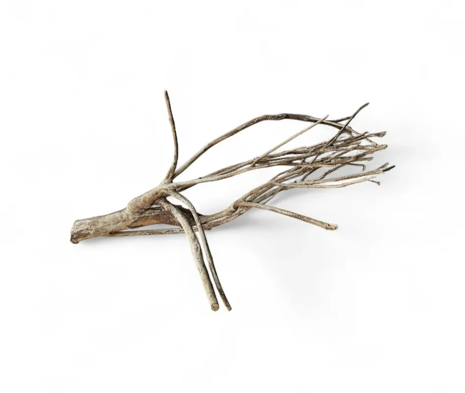 Neu Im Sortiment Talawa Holz / Wood 50-70 cm Nr. 157