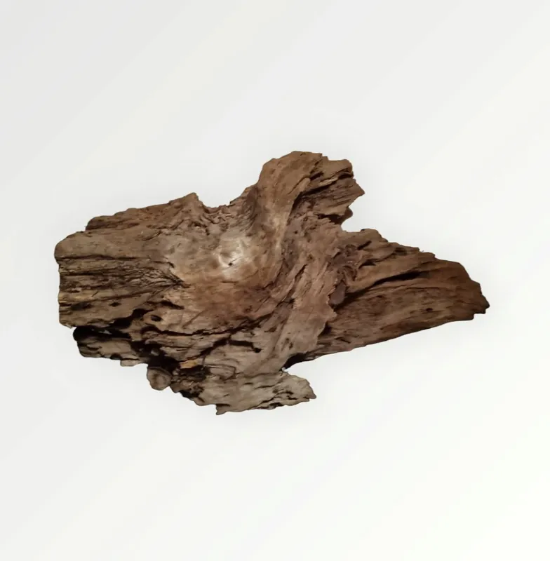 Mangrove Größe XL / Nr.377 Meistverkauft