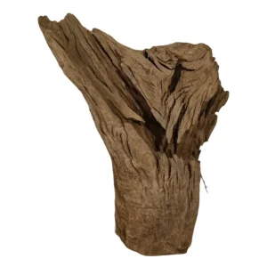 Nur Für Kurze Zeit Mangrove Größe XL / Nr.410