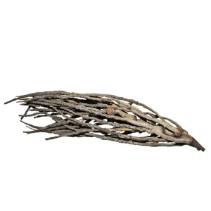 Kokosrispe 40 - 70 cm Saisonangebot