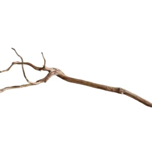 Dark Snake Wood Nr.451 Direkt Vom Hersteller