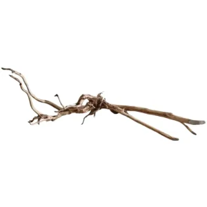 Dark Snake Wood Nr.456 Sofort Bestellen