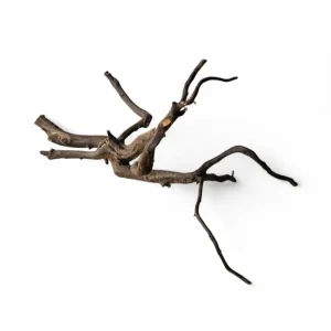 Black Root Nr.463 Sonderangebot