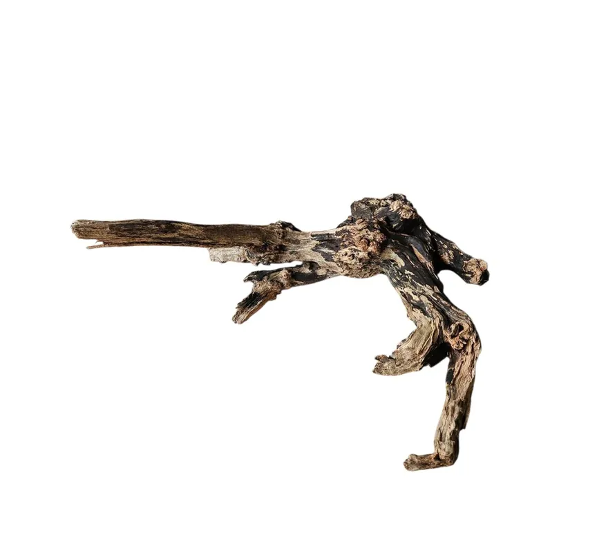 Coral Sinker Wood Nr. 458 Saisonangebot