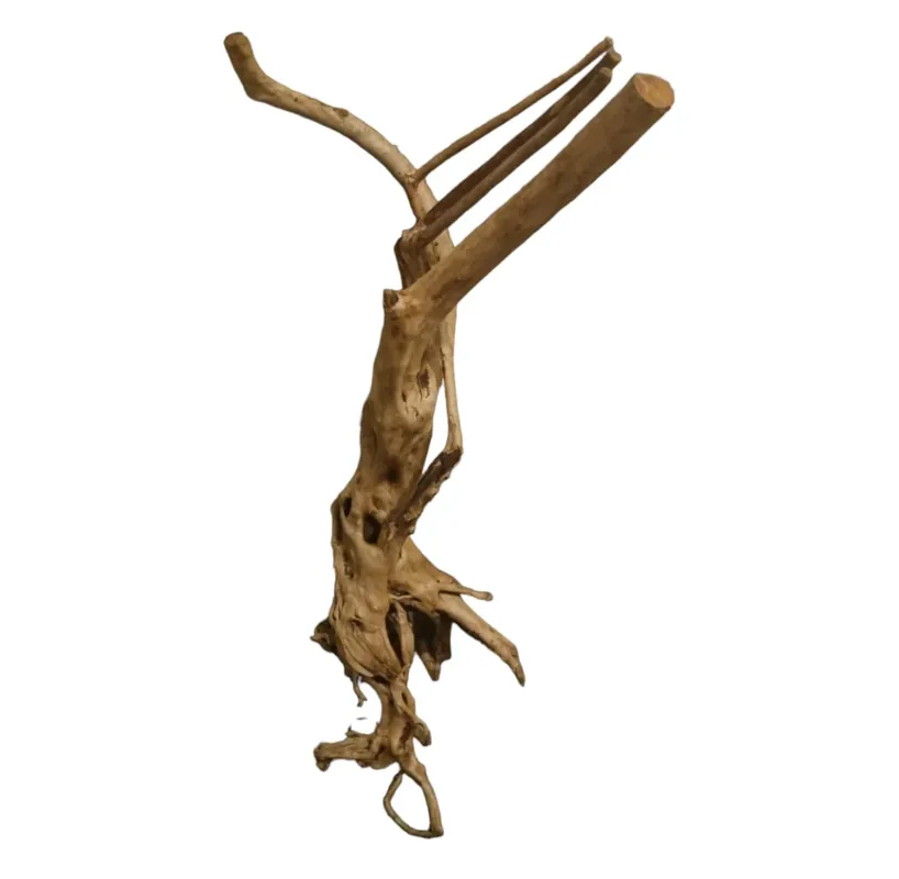 Rainforest Wood Stump Nr.467 Preis Gesenkt