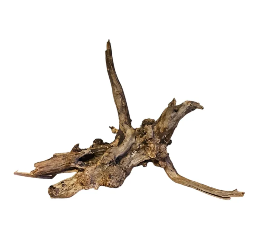 Coral Sinker Wood Nr.559 Preiswert
