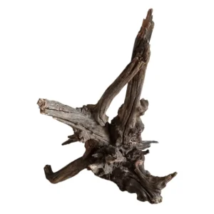 Meistverkauft Coral Sinker Wood Nr.567
