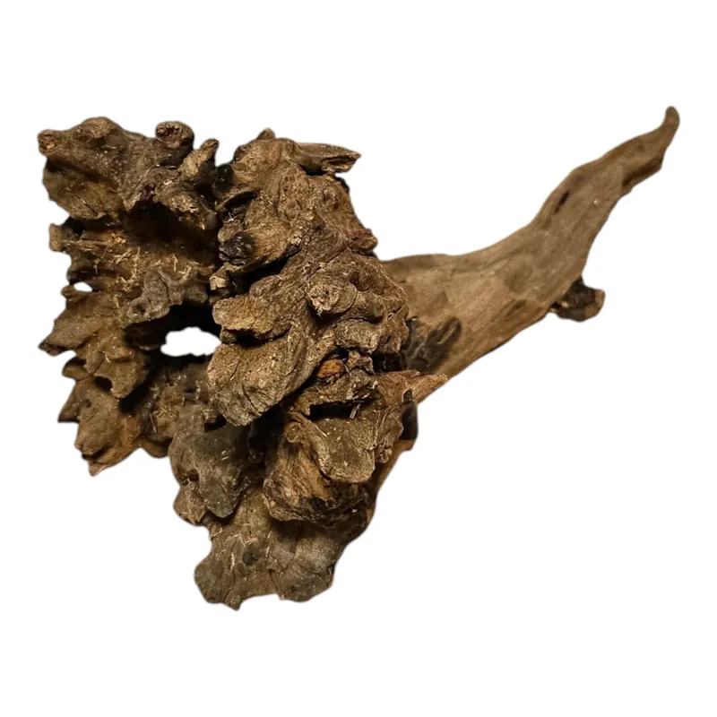 Preis Gesenkt Coral Sinker Wood Nr.601
