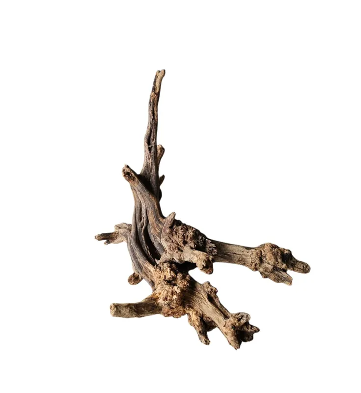 Coral Sinker Wood Nr.605 Super-Preis