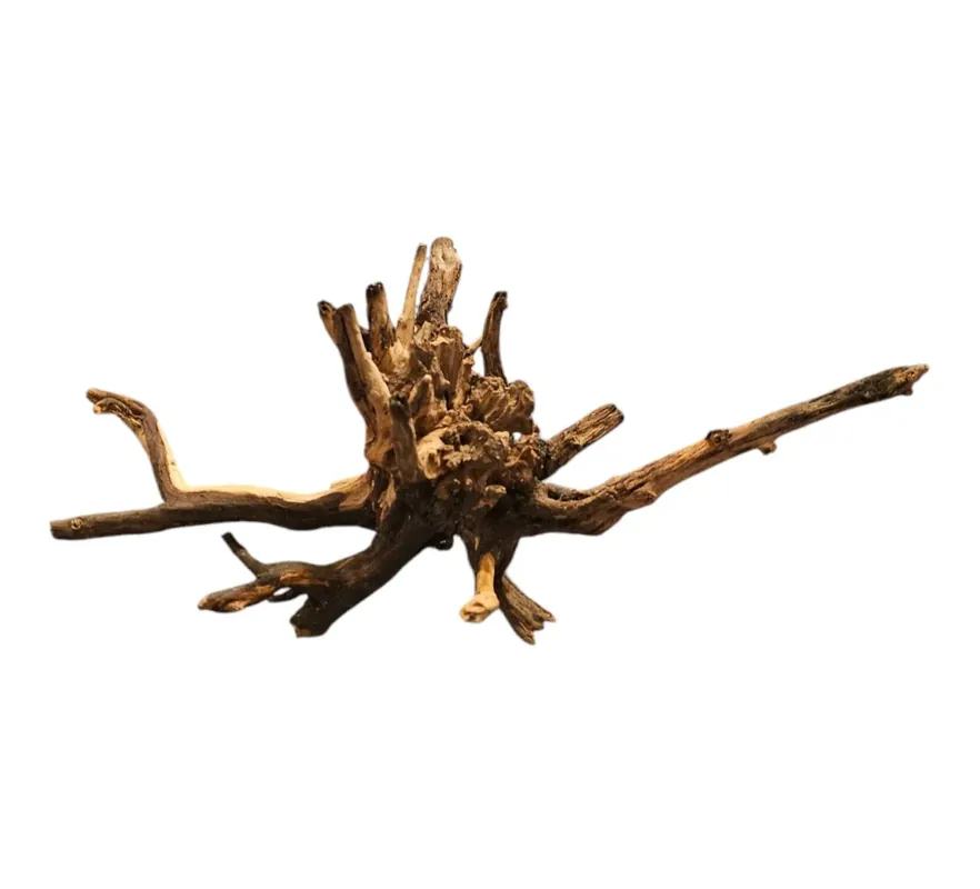 Nur Für Kurze Zeit Coral Sinker Wood Nr.614