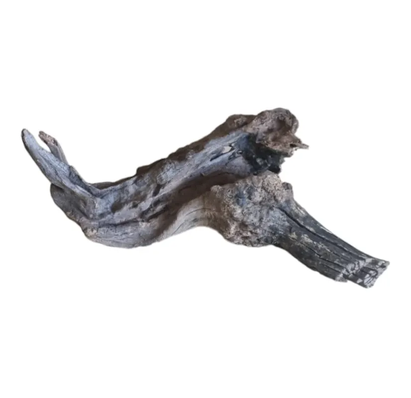 Coral Sinker Wood Nr.633 Sofort Bestellen
