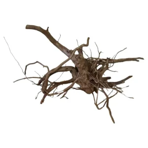 Saisonangebot Dunkle Moorwurzel 40-55 cm Nr. 506