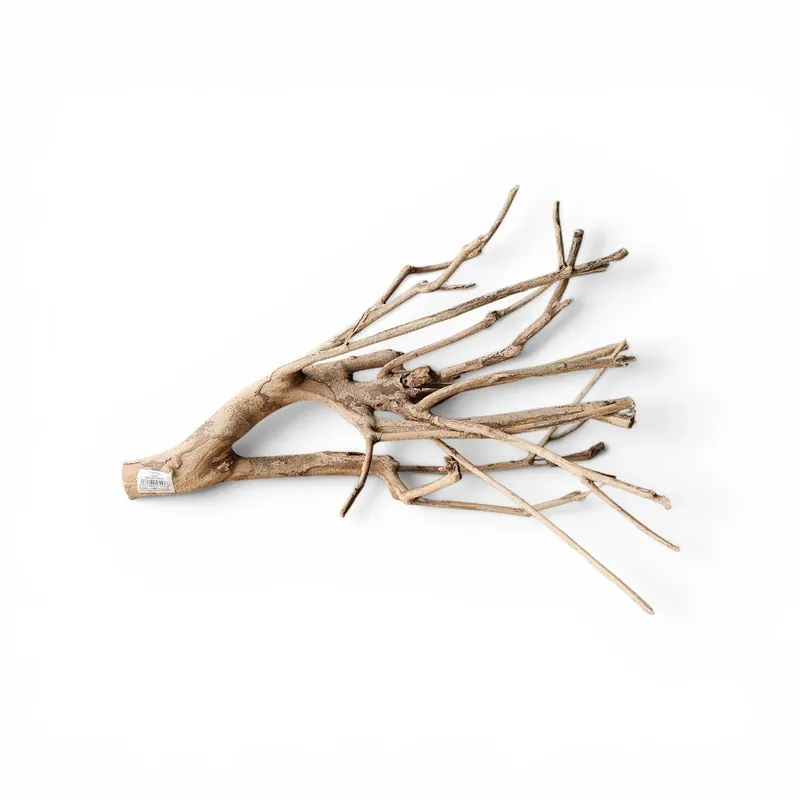 Talawa Holz/Wood 30-45cm Nr.676 Versand Am Gleichen Tag