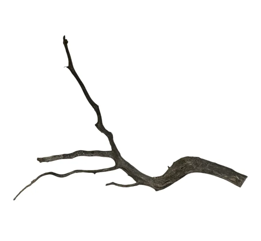 Black Root Nr.760 Neu Im Sortiment