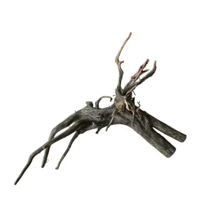 Kracherpreis Black Root Nr.771