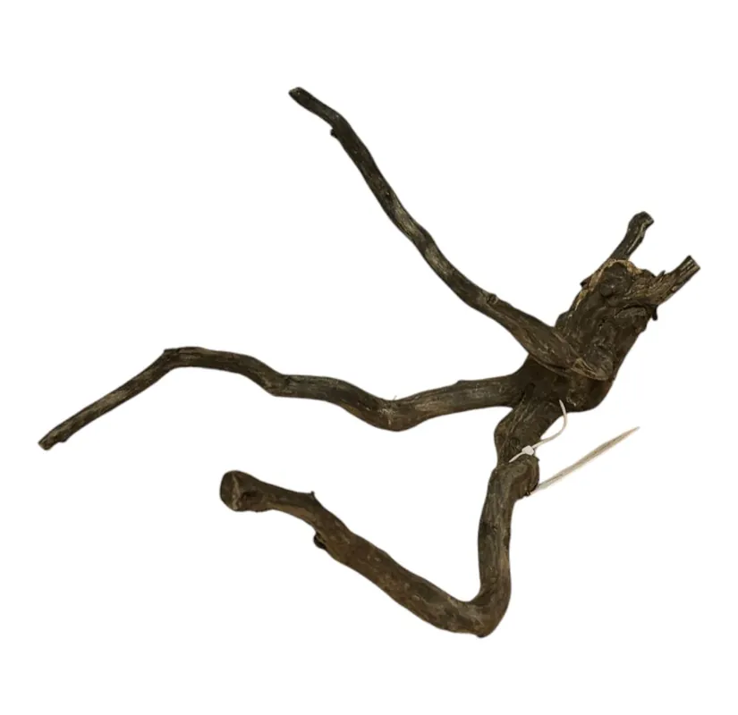 Saisonangebot Black Root S Nr.772