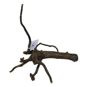 Black Root Nr.773 Billig